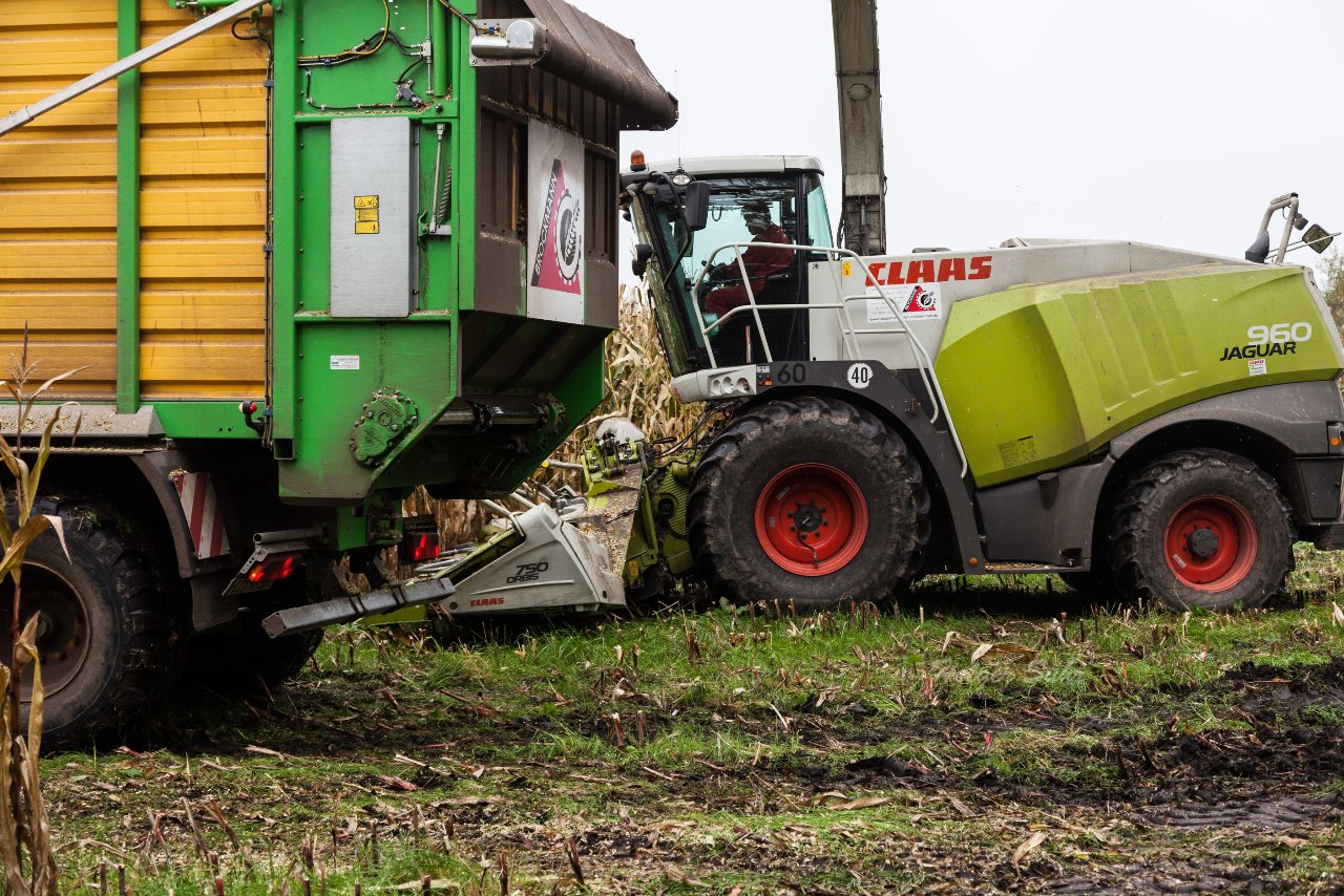 Bild 123 - Biogas am 21.10.12